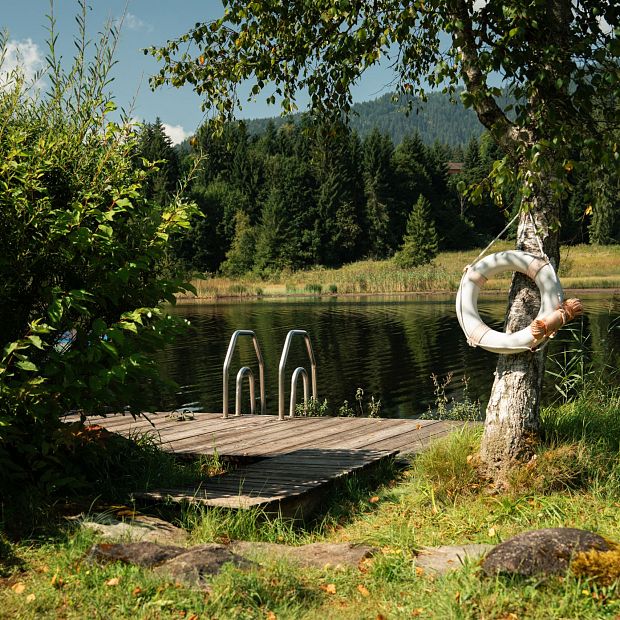 Seezugang beim Gieringer Weiher. Sommererfrischung in Kitzbühel