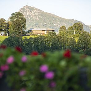 Surrounded by nature