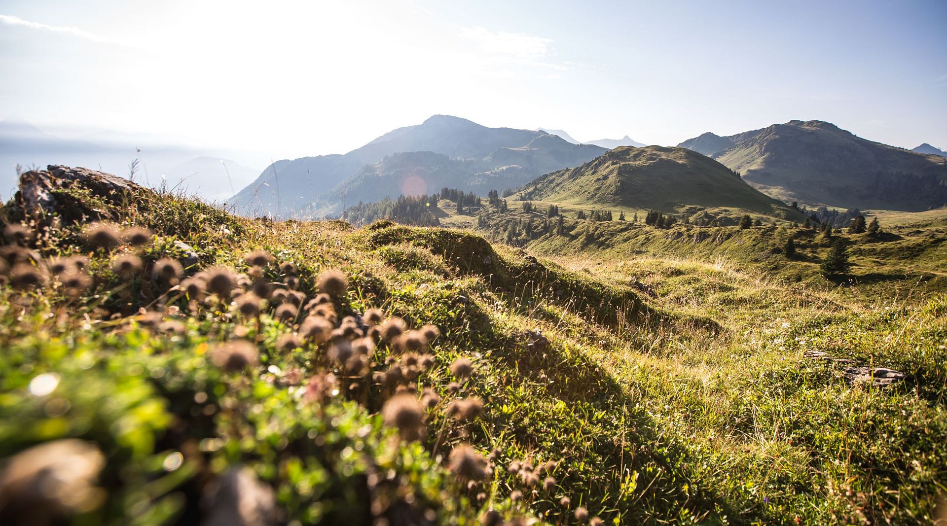 kitzbuehel-residences-landschaft-panorama-Südberge-Natur-Wandern-Sommer-(c)-Kitzbuehel-Tourismus